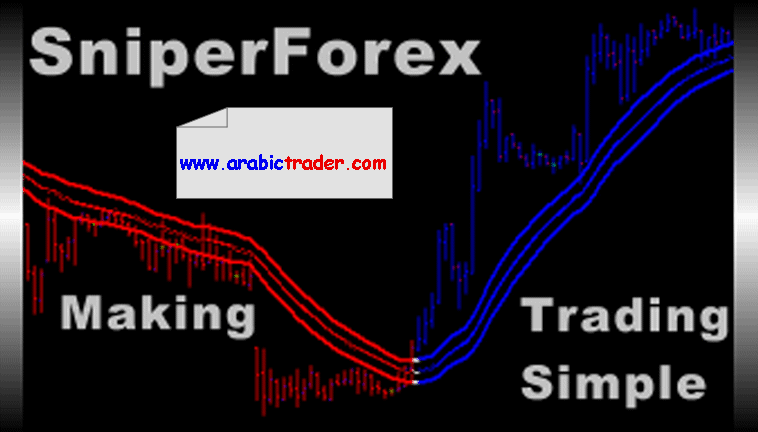 best forex day trading software